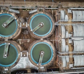 Used for wastewater treatment in distilleries
